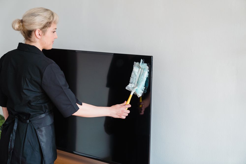 Cleaning professional dusting a home